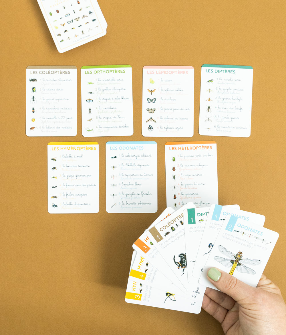 Jeu Des 7 Ordres D insectes Les Petits Z colos