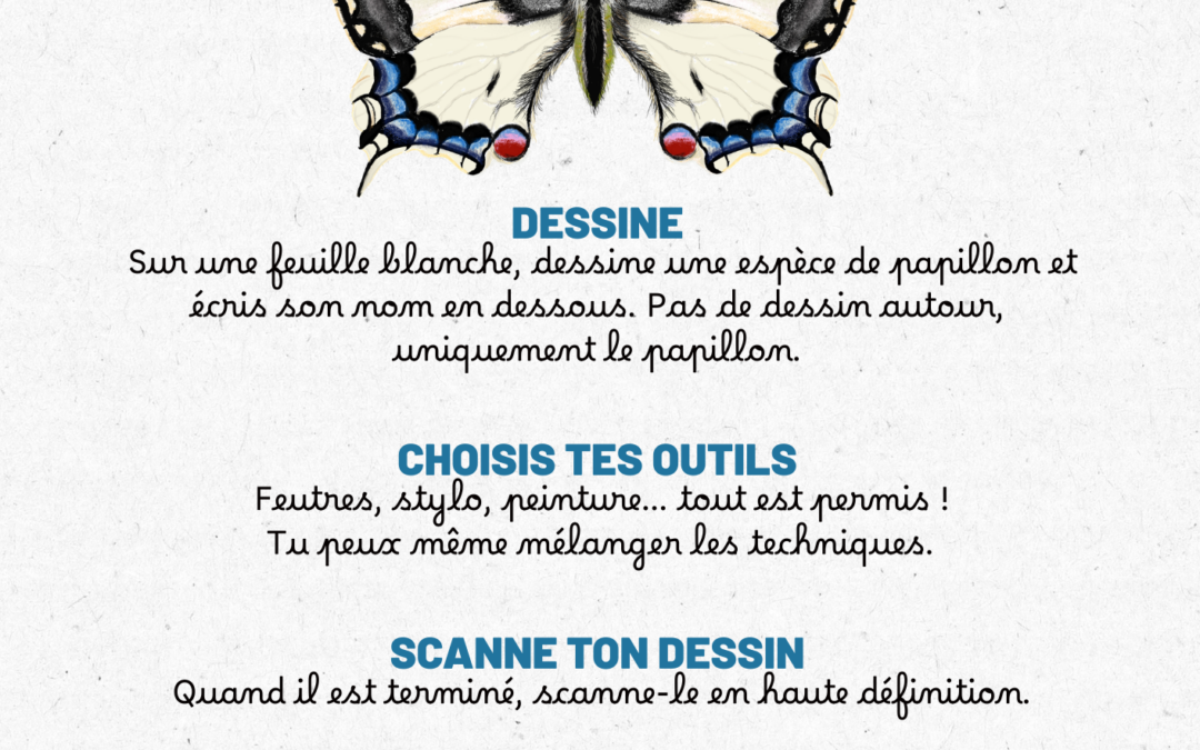 ton dessin dans le nouveau livre ! Dessine moi un papillon
