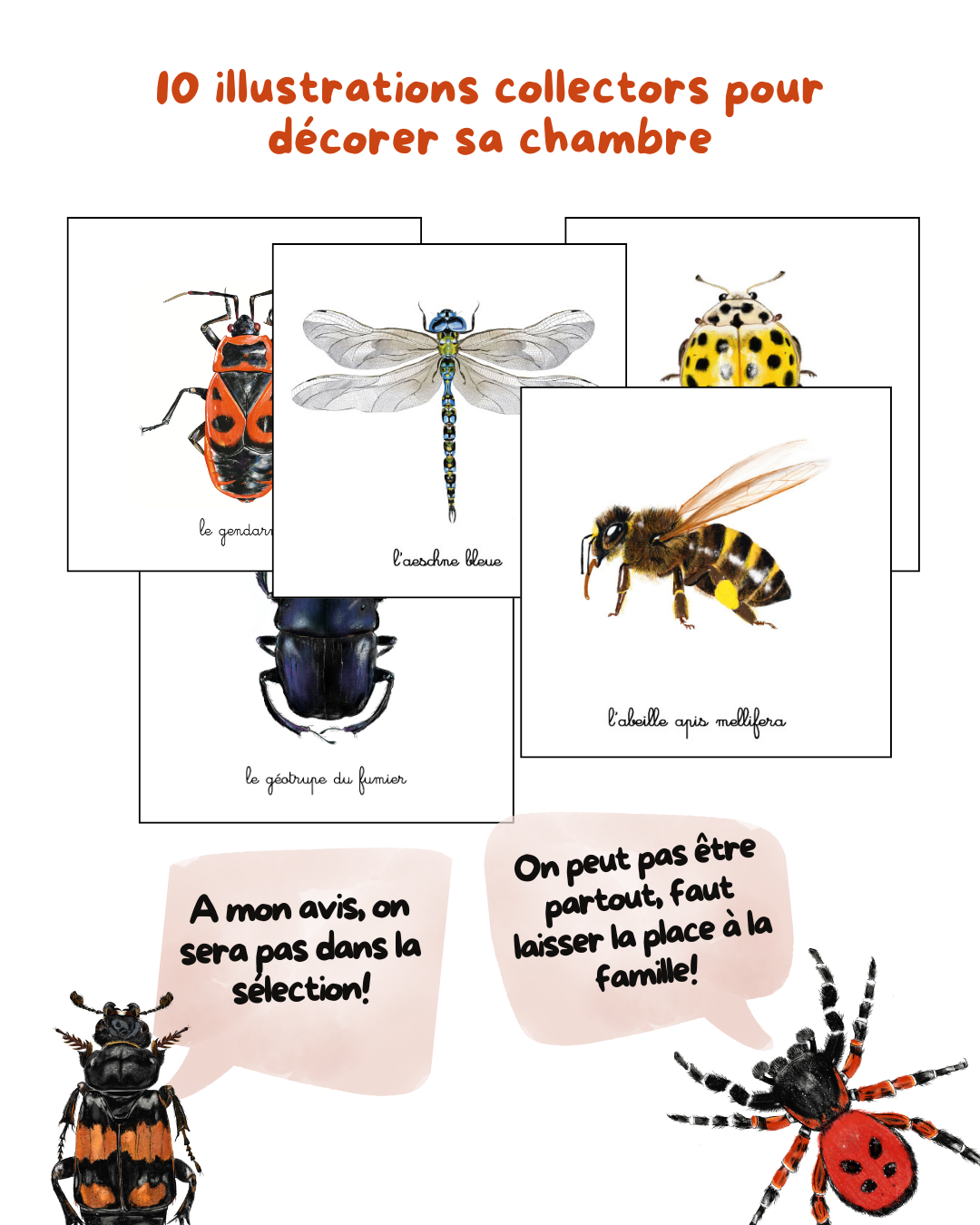 La box nature des petits zecolos. Apprendre à connaitre les petites betes en s'amusant.