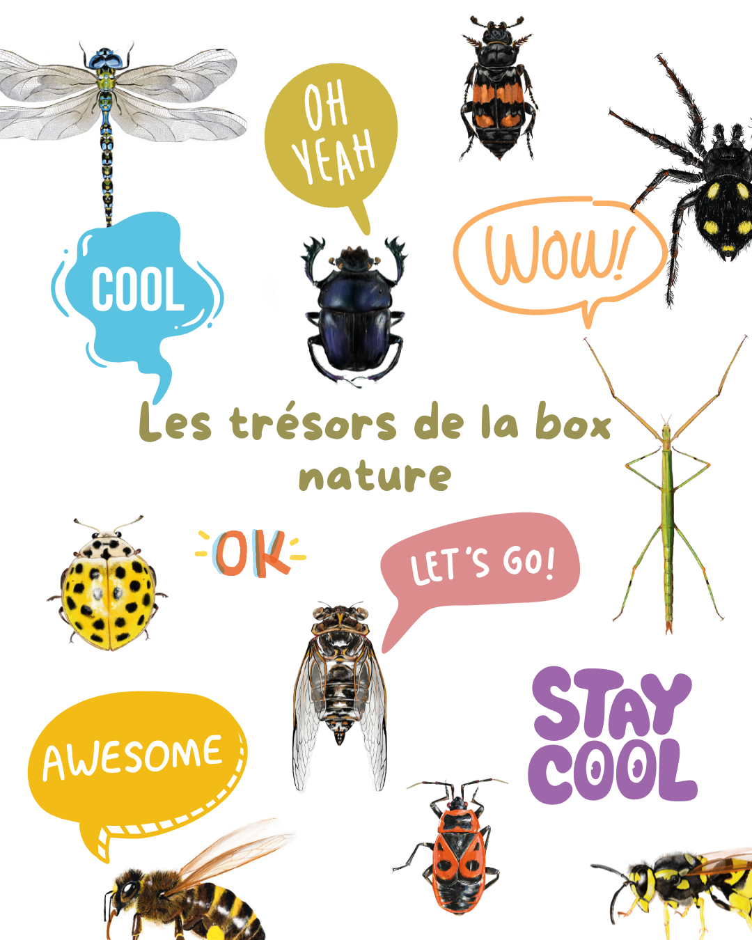 La box nature des petits zecolos. Apprendre à connaitre les petites betes en s'amusant.