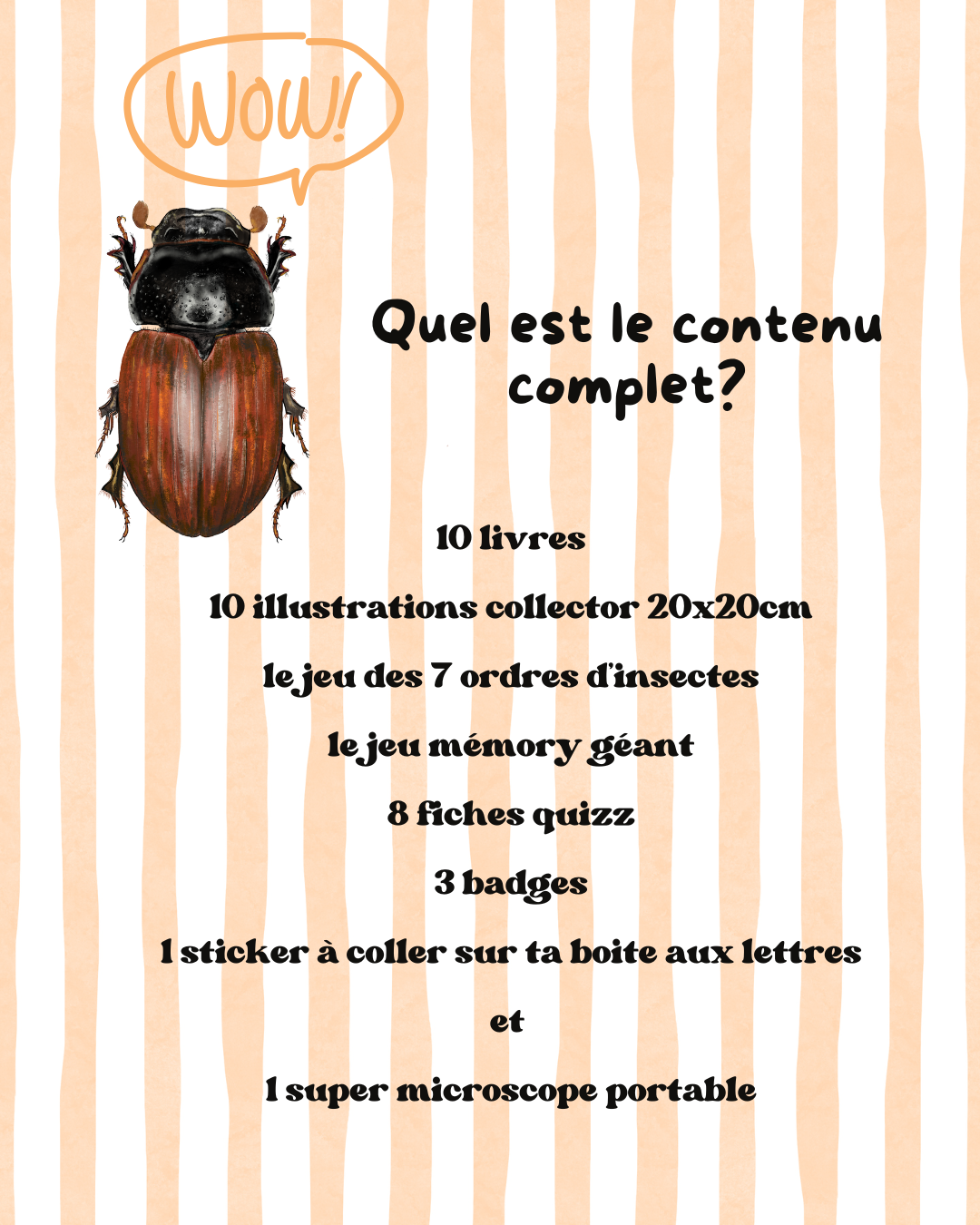 le contenu de la box des petits zecolos