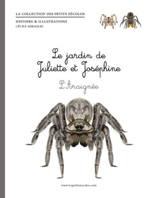 Le jardin de Juliette et Joséphine : l'Araignée