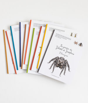 Collection de 10 livres jeunesse sur les insectes, l’araignée et Jean-Henri Fabre Les Petits Zécolos