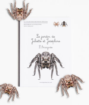 Livre enfant sur l’araignée Les Petits Zécolos biodiversité