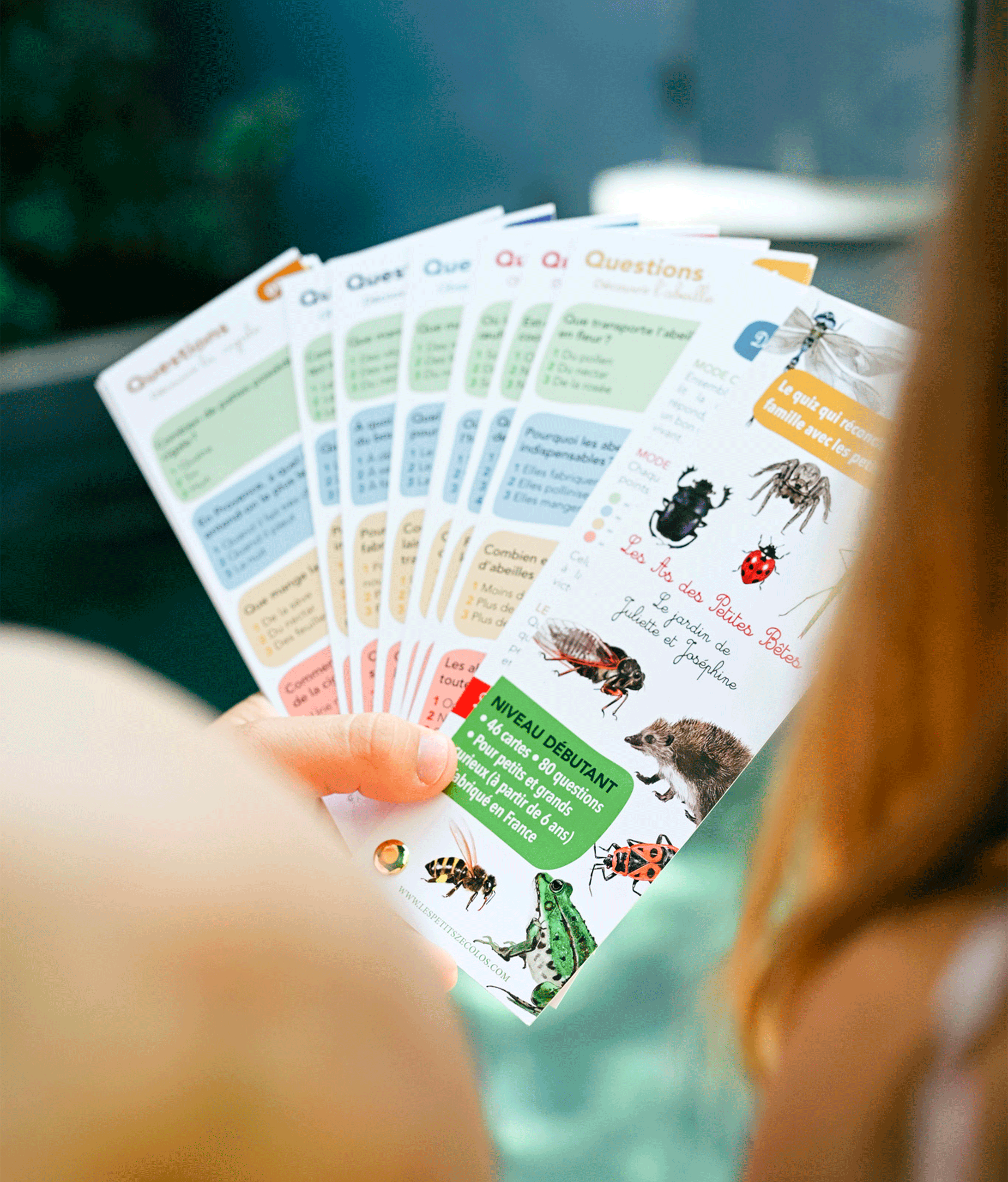 Quiz Les As des petites bêtes - jeu éducatif sur les insectes pour enfants dès 5 ans