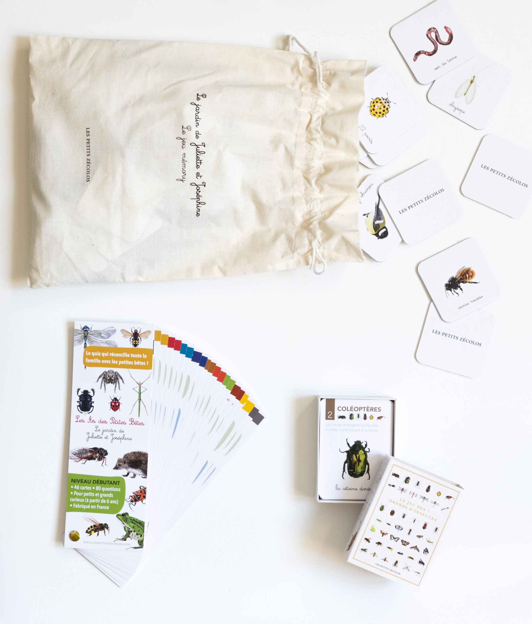 Memory, quiz Les As des petites bêtes et Jeu des 7 ordres d’insectes – Les Petits Zécolos